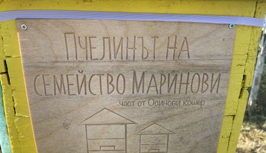 beehive close view