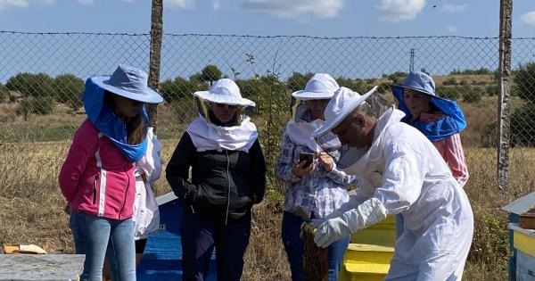 People from Lagardere Travel retail are watching the beehive being opened